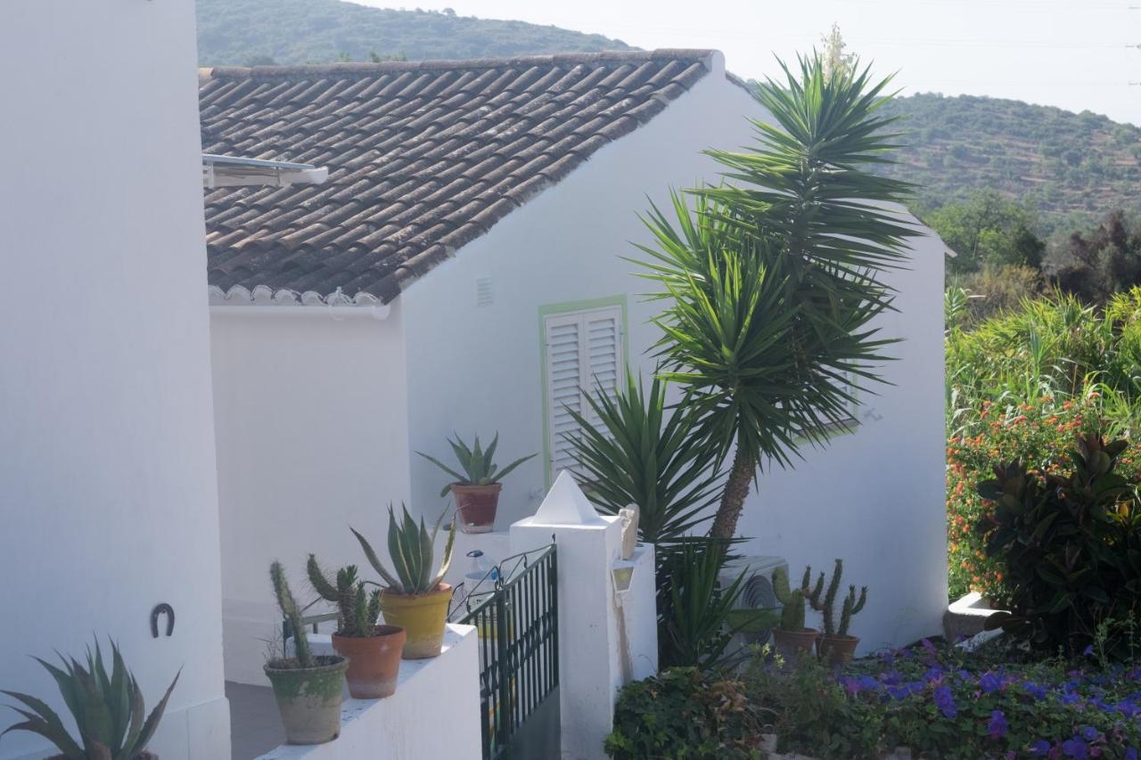 Casa Da Cabeca Hotel Azinheiro Exterior photo